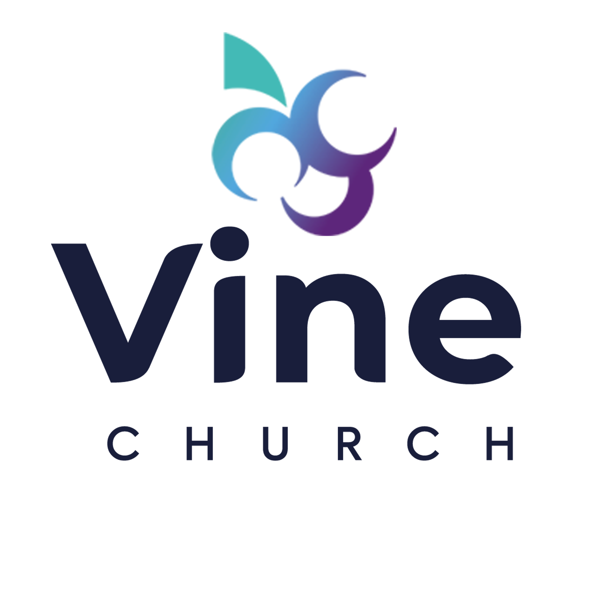 Vine Tampa